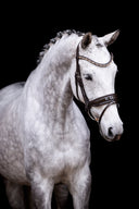 Why choose a custom bridle?