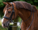 Unlocking Your Dressage Potential: Why a Custom UNIQ Bridle Makes the Difference