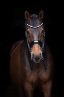 UNIQ Bridle 'Winner' double
