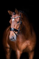 UNIQ Bridle 'Winner' snaffle