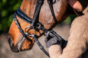 Size Guide for your bridle