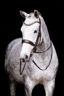 Create Your Double Bridle