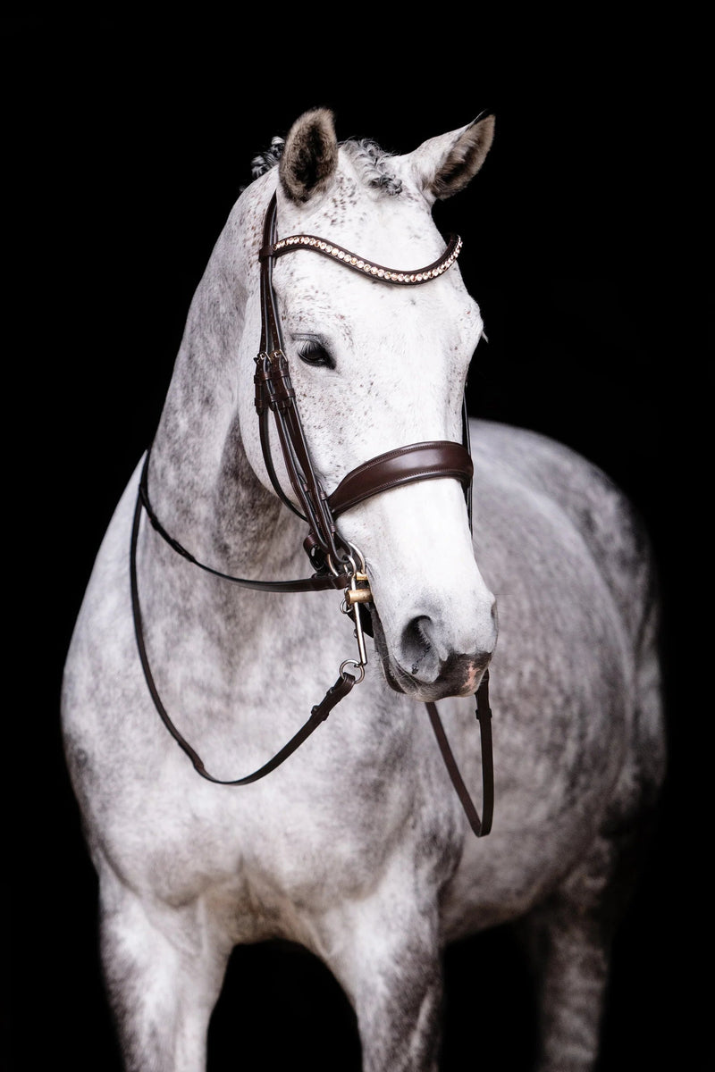 Create Your Double Bridle