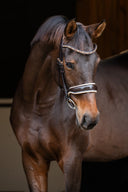 Create Your Snaffle Bridle