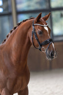 Create Your Snaffle Bridle