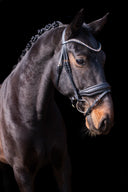 Create Your Snaffle Bridle