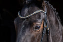 UNIQ Browband 'Classic XL Deep Wave':