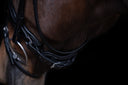 UNIQ Noseband Excellence Double