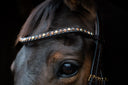UNIQ browband 'Poise'