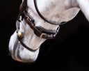 UNIQ Noseband Excellence Snaffle