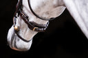 UNIQ Noseband Elegant double