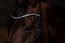 UNIQ browband 'Allure'