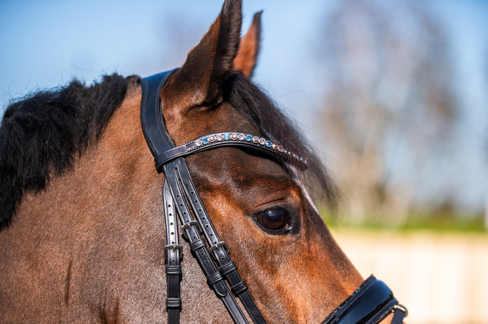 Create Your Browband