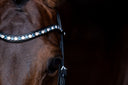 UNIQ browband 'Allure'
