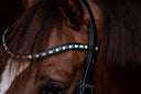UNIQ Browband Classic
