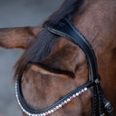 UNIQ Bridle 'Winner' double