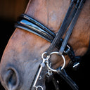 Elegant double noseband
