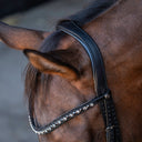 Headpiece London on horse
