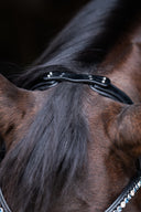 Headpiece New York on the horse