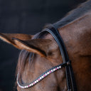 Headpiece paris on horse