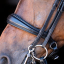 Noseband lucky double