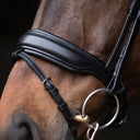 Performance snaffle matte