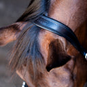 UNIQ Bridle halter headpiece