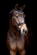 UNIQ Bridles Elegant croco snaffle