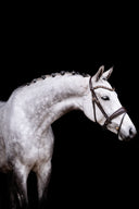 UNIQ Bridles Elegant snaffle brown