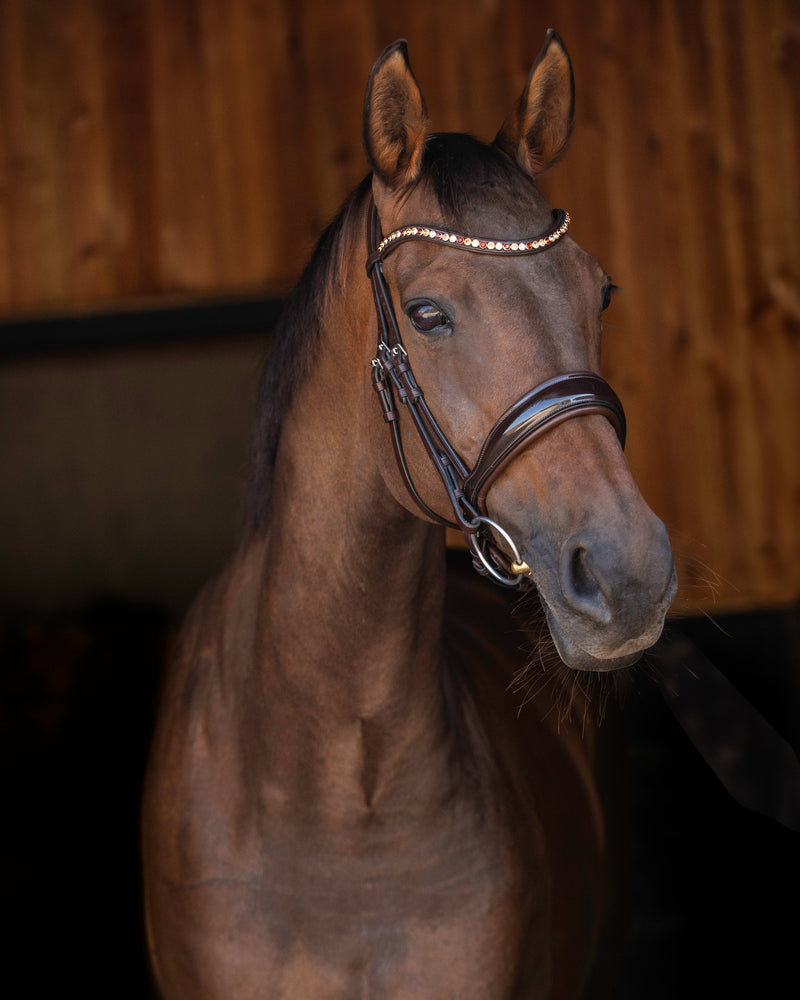 UNIQ Bridles Excellence brown