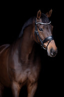 UNIQ Bridles Excellence snaffle matte