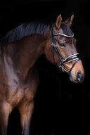 UNIQ Bridles Excellence snaffle pink