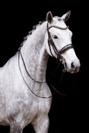 UNIQ Bridles Performance double